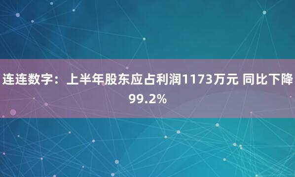 连连数字：上半年股东应占利润1173万元 同比下降99.2%