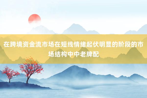 在跨境资金流市场在短线情绪起伏明显的阶段的市场结构中中老牌配