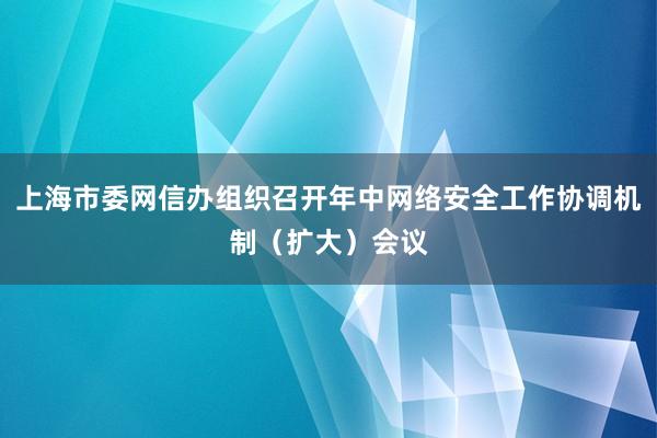上海市委网信办组织召开年中网络安全工作协调机制（扩大）会议