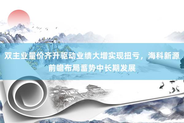 双主业量价齐升驱动业绩大增实现扭亏，海科新源前瞻布局蓄势中长期发展