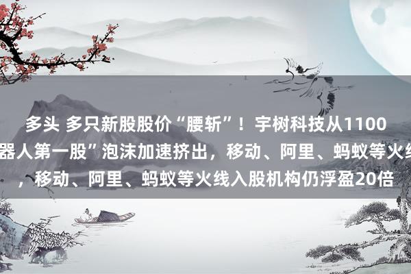 多头 多只新股股价“腰斩”！宇树科技从1100跌到555元，“人形机器人第一股”泡沫加速挤出，移动、阿里、蚂蚁等火线入股机构仍浮盈20倍
