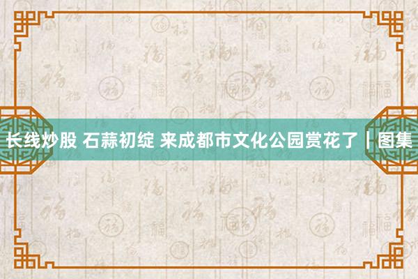 长线炒股 石蒜初绽 来成都市文化公园赏花了｜图集