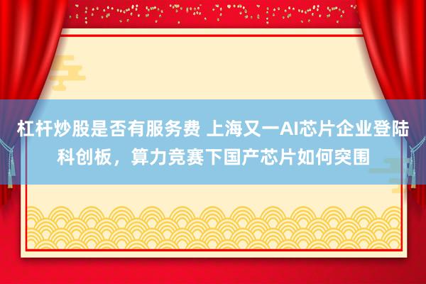 杠杆炒股是否有服务费 上海又一AI芯片企业登陆科创板，算力竞赛下国产芯片如何突围