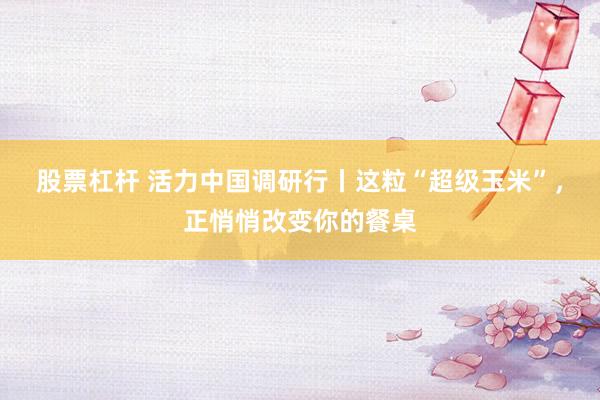 股票杠杆 活力中国调研行丨这粒“超级玉米”,正悄悄改变你的餐桌