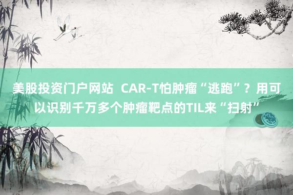 美股投资门户网站  CAR-T怕肿瘤“逃跑”？用可以识别千万多个肿瘤靶点的TIL来“扫射”